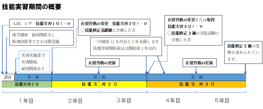 技能実習期間の概要